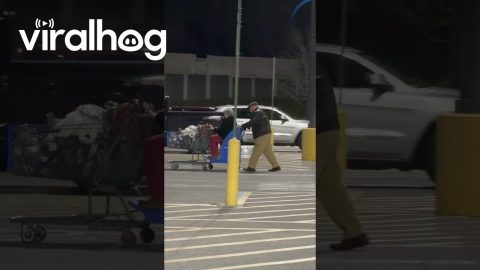 Elderly Man Lovingly Pushes His Wife In Shopping Cart || ViralHog