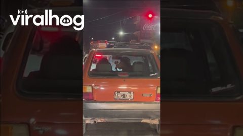 Heartwarming Moment Waiting in Traffic || ViralHog