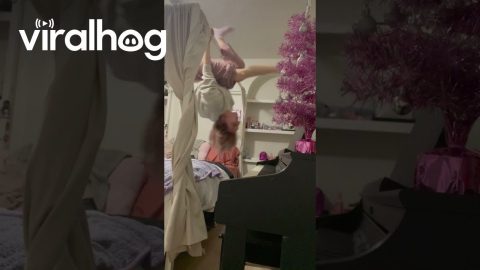 Bed Frame Girl Hangs Upside-Down and Plays Piano || ViralHog