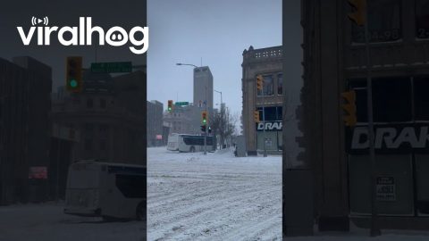 Where's the Rest of the Bus? || ViralHog