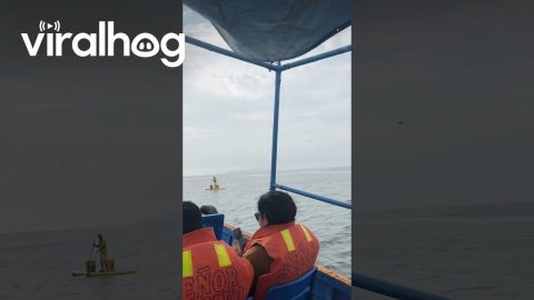 Ice Cream Vendor at Sea || ViralHog