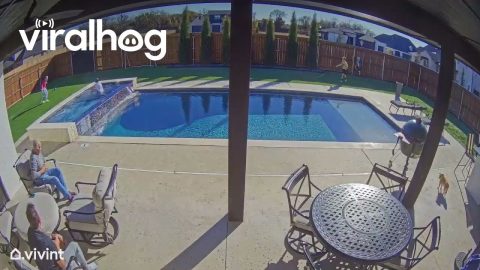 Accidental Swim During Thanksgiving Football || ViralHog