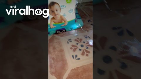 Infant Formula Christmas Tree || ViralHog