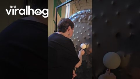 Playing a 60 Inch Shawn Aceto Gong || ViralHog