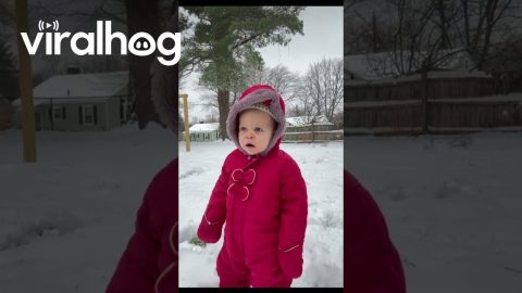 Granddaughter Is Not a Fan of Snow || ViralHog
