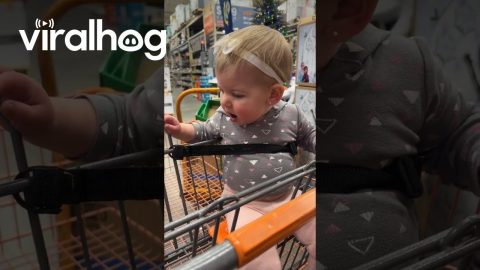 Little Girl Amazed by Mickey || ViralHog