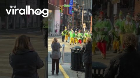 Parade of Buddies on Broadway in Nashville || ViralHog
