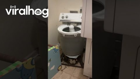 Boneless Washing Machine Keeps Spinning || ViralHog