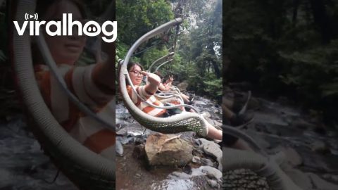 Flying Over the Water in Basket Chairs || ViralHog