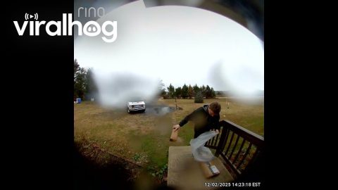 Delivery Driver Protects Competitors Packages From Rain || ViralHog