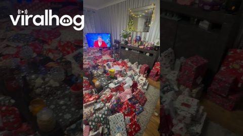 Family Goes All Out for Getting Christmas Presents || ViralHog
