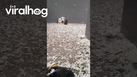 Severe Hailstorm in Erechim, Brazil || ViralHog