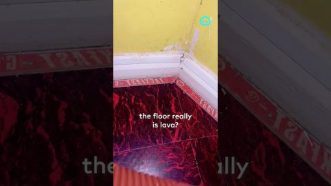 What's Under the Carpet || ViralHog Shorts