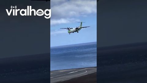 Expert Plane Landing On Short Runway With Crosswinds At Madeira || ViralHog