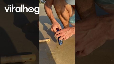 Crab Rescued From Plastic Bottle On Rayong Beach || ViralHog