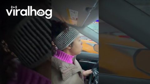 NYC Rat Crawls Out of Moving Car and Shocks Driver || ViralHog