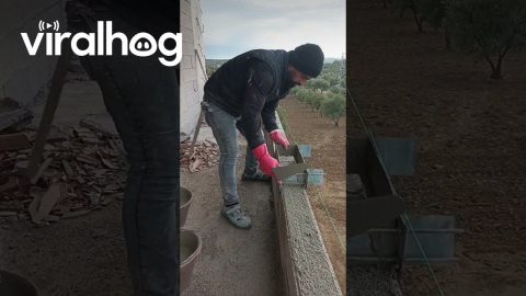 Cement Spreading Technique for Laying Bricks || ViralHog