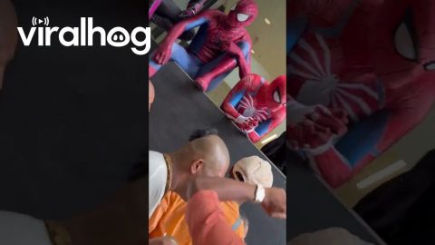 Spiderverse Joins in on Hare Krishna Mantra || ViralHog