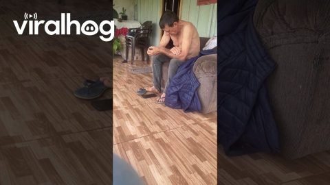Dad Scrolls With His Toe || ViralHog