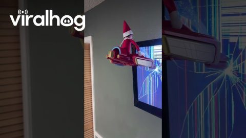 Elf on the Shelf Crash Lands Into TV || ViralHog