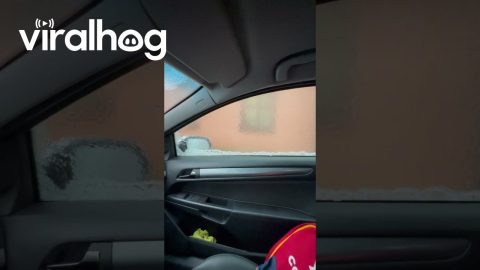 Frozen Glass Windows After Ice Rain || ViralHog