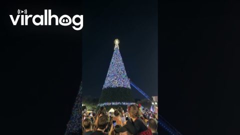 Christmas Tree Lighting Ceremony Fail || ViralHog