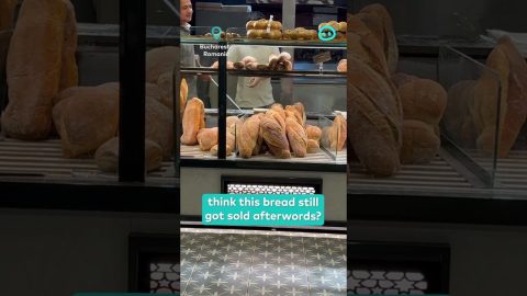 Rat Climbs Inside Bakery Display Case || ViralHog Shorts