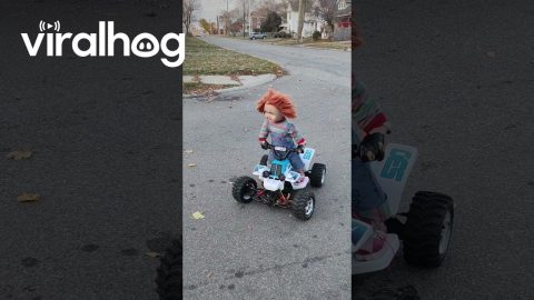 Halloween RC Car Tearing Up The Streets || ViralHog