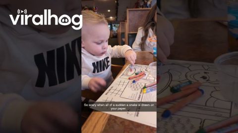Crayon Drawing Startles Son || ViralHog