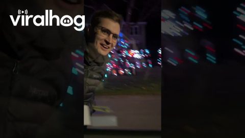 Taking My Cats to See Christmas Lights || ViralHog