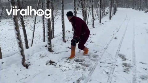 Friend Falls Down Snowy Embankment Trying To Kick Tree || ViralHog