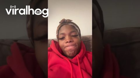 Dog Mad About Interrupted Mouth Licking || ViralHog