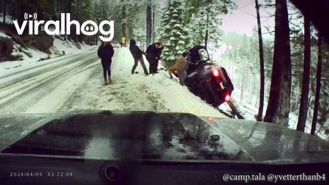 Good Samaritan Helps Rescue Family From Cliffside Crash || ViralHog