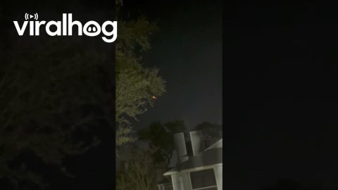 Rocket Launch Spotted in Orlando Sky || ViralHog
