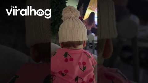 Surprise! Baby With Funny Hairstyle || ViralHog