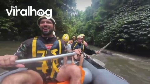 Spiders Join in on White Water Rafting Adventure || ViralHog