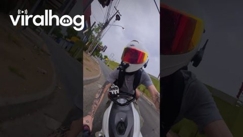 Motorcyclist Takes Gravel Turn Too Fast || ViralHog