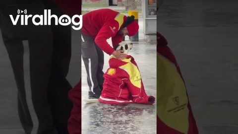 Kind Man Lends Stray Dog His Jacket || ViralHog