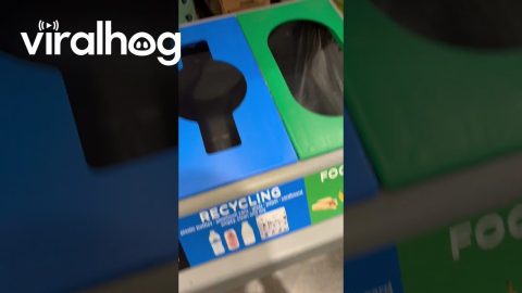 Secret of the Garbage Bin Separator || ViralHog