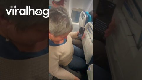 Tight Fit on WestJet Plane || ViralHog