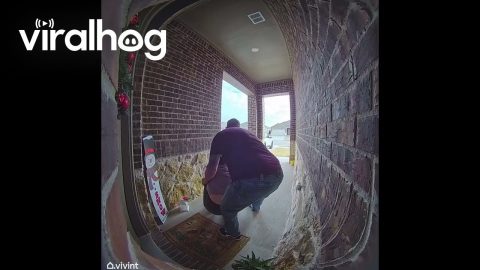 Dad Tries to Help When Woman Falls Out Front Door || ViralHog