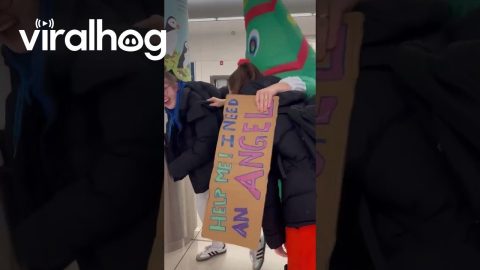 Mom Picks Up Daughter in a Christmas Tree Costume || ViralHog