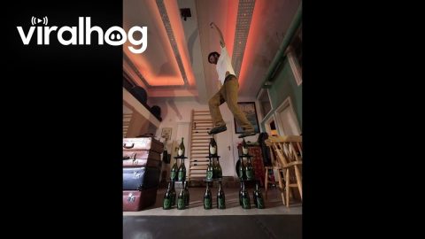 Walking On Triple Stacks Of Glass Bottles || ViralHog