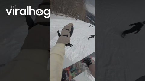 Snowboarder Learns About Not Slowing Down in the Terrain Park || ViralHog