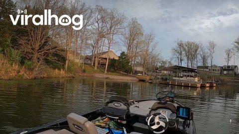 Fisher Falls Overboard Trying To Save Dropped Rod || ViralHog