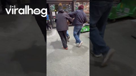 Customers Carry Deer Back Outside || ViralHog