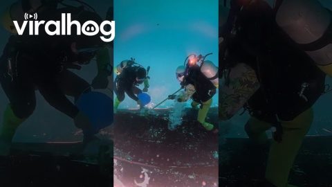 Divers Clean Boat Upside-Down || ViralHog