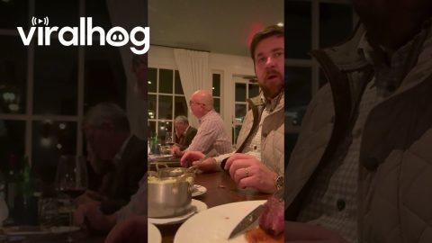 Husband Flabbergasted As Waitstaff Removes Unfinished Plate || ViralHog