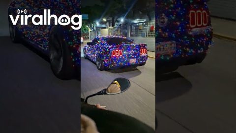 Mustang Decked Out With Christmas Lights || ViralHog