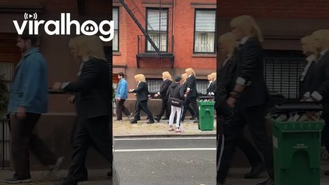What in the NYC Is Going on Here? || ViralHog